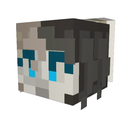 DejaSirus Minecraft avatar head, 3D render