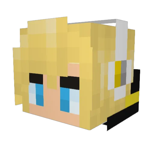 Dejavu441 Minecraft avatar head, 3D render