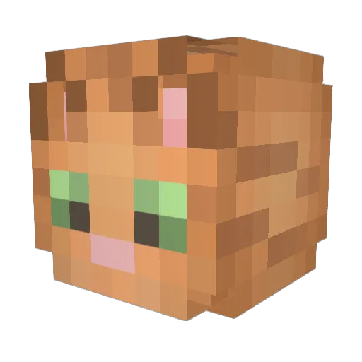 Dejesn Minecraft avatar head, 3D render