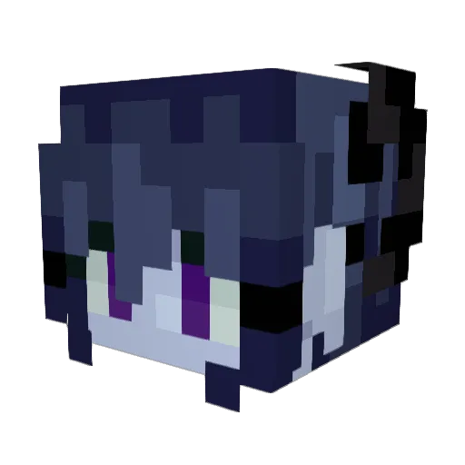 DejkoPompejko Minecraft avatar head, 3D render