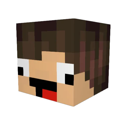 Dejmnok420 Minecraft avatar head, 3D render