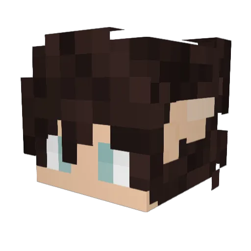 Dejwol Minecraft avatar head, 3D render
