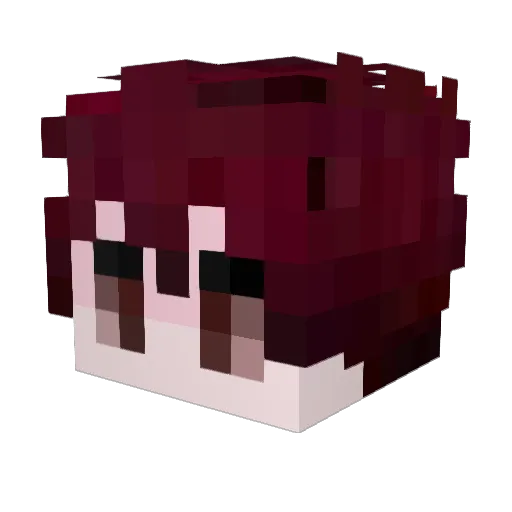 Dejwus Minecraft avatar head, 3D render