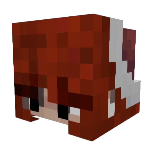 Dejynx Minecraft avatar head, 3D render