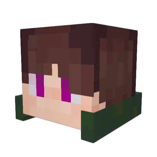 Dek1nS7 Minecraft avatar head, 3D render