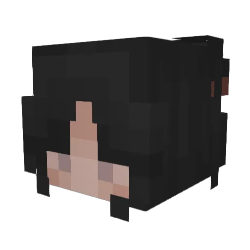 Dekabrik Minecraft avatar head, 3D render