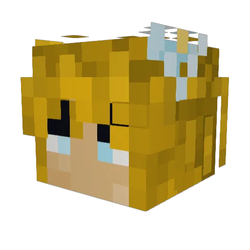 Dekamolisher Minecraft avatar head, 3D render