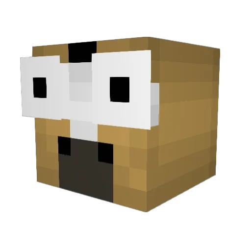 Dekinator69 Minecraft avatar head, 3D render