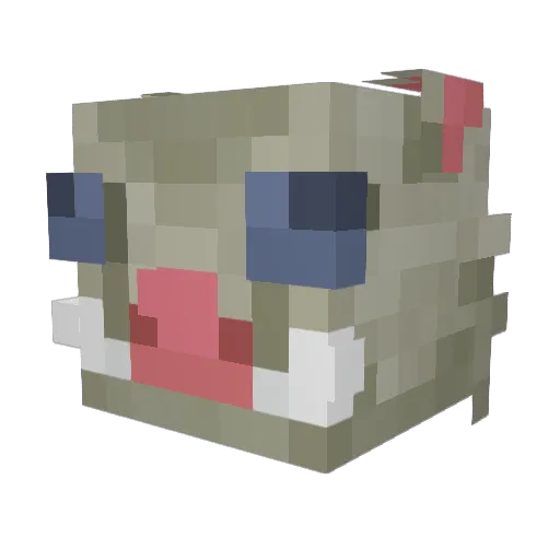 DekuFung Minecraft avatar head, 3D render
