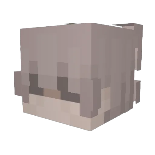 Dekuwu18 Minecraft avatar head, 3D render