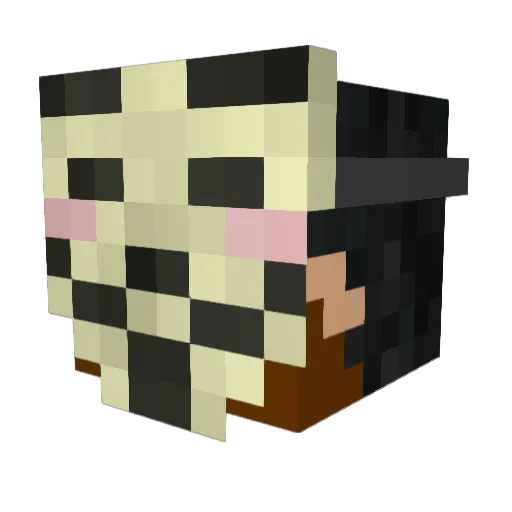 Deky20 Minecraft avatar head, 3D render