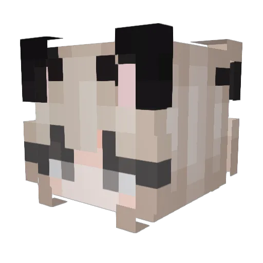 DelBear420 Minecraft avatar head, 3D render