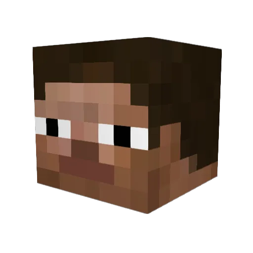 DelComputer13 Minecraft avatar head, 3D render