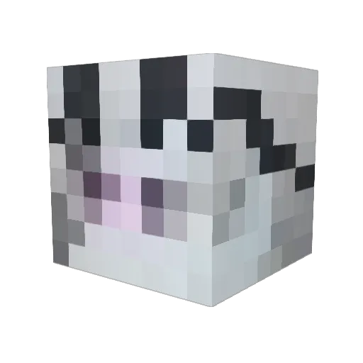 DelSalto Minecraft avatar head, 3D render
