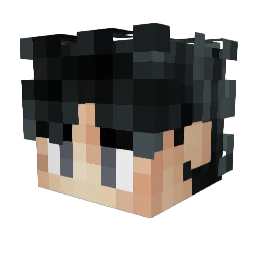 Delabys Minecraft avatar head, 3D render