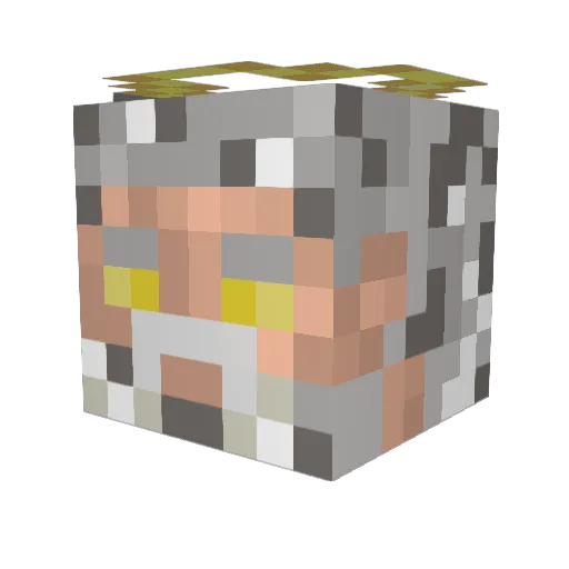 Delafwod Minecraft avatar head, 3D render