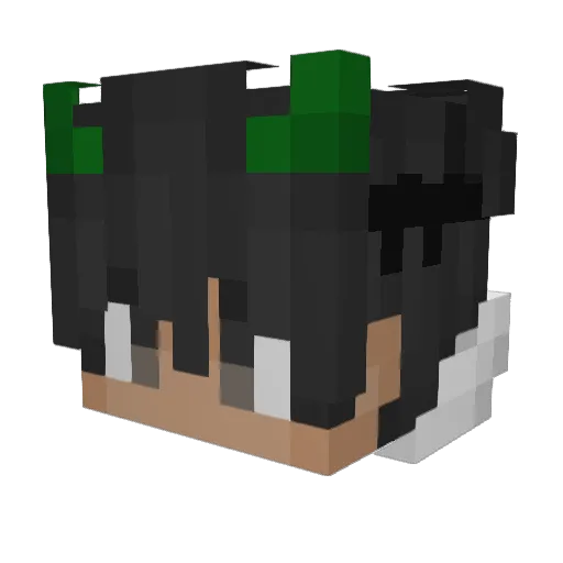 Delahaye91 Minecraft avatar head, 3D render