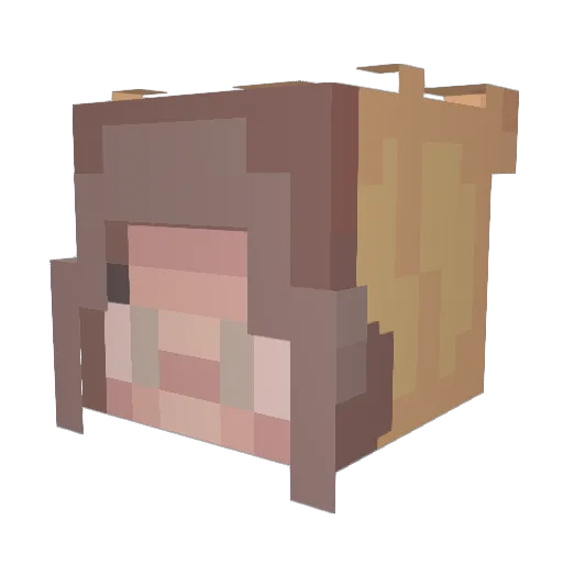 DelaneyB07 Minecraft avatar head, 3D render