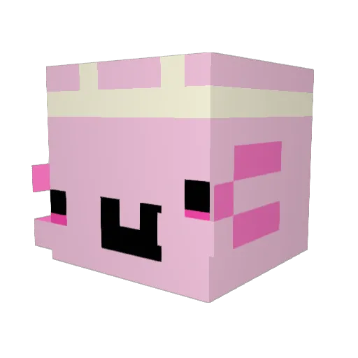 DelaneyMay Minecraft avatar head, 3D render