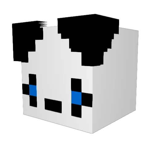 Delanie33 Minecraft avatar head, 3D render