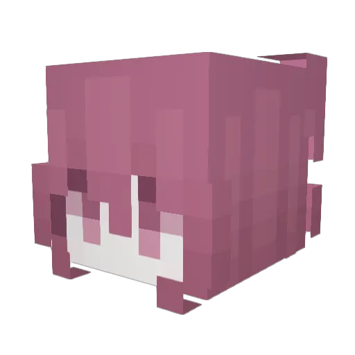 Delanii Minecraft avatar head, 3D render