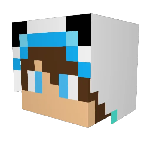 DelayNoMore_AwA Minecraft avatar head, 3D render