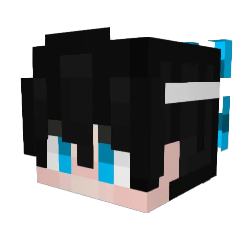 Delayzx Minecraft avatar head, 3D render