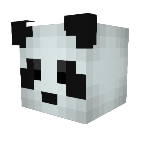 DelcomXD Minecraft avatar head, 3D render