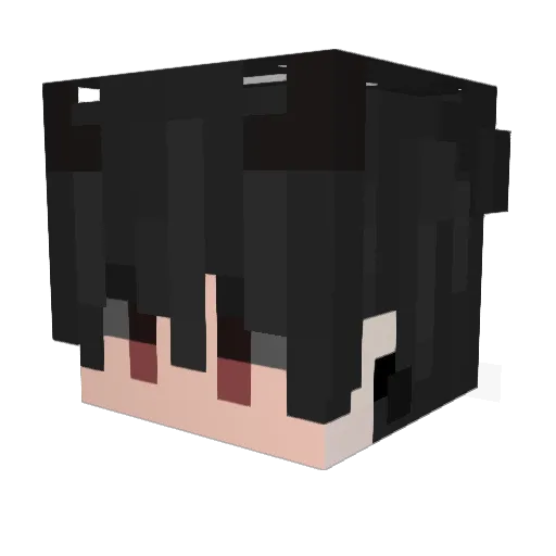DeleTe_Ser Minecraft avatar head, 3D render