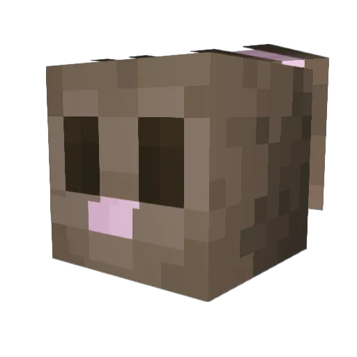 Deleena Minecraft avatar head, 3D render