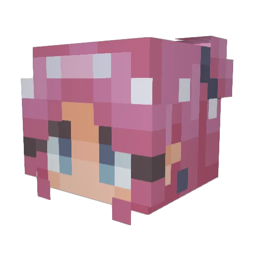 Deleijon Minecraft avatar head, 3D render