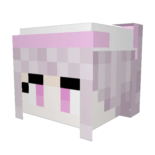 Delement Minecraft avatar head, 3D render