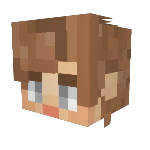 Delenebeau Minecraft avatar head, 3D render