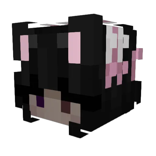 DeleteDaCherry Minecraft avatar head, 3D render