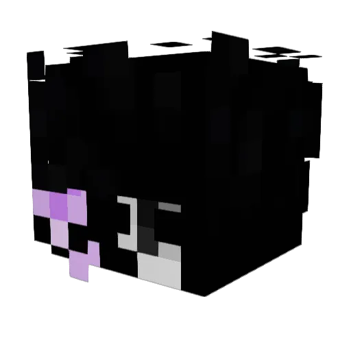 DeletedProfile Minecraft avatar head, 3D render