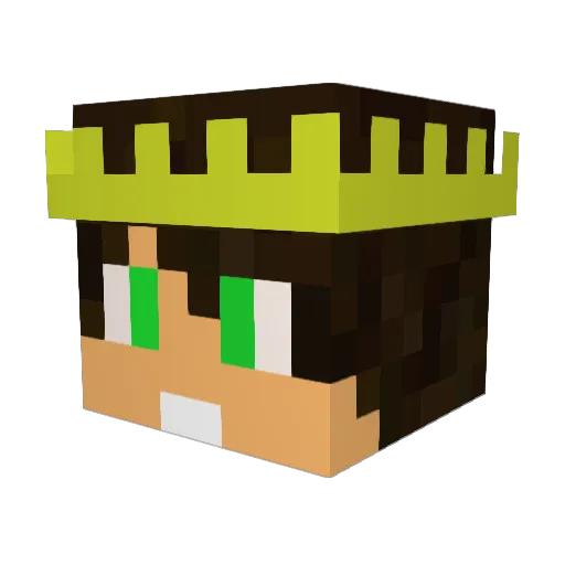 DelfTv Minecraft avatar head, 3D render