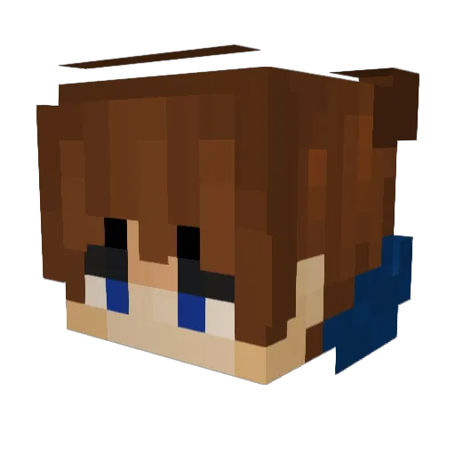 Delfas038 Minecraft avatar head, 3D render