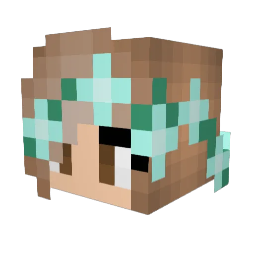 Delfin2004 Minecraft avatar head, 3D render