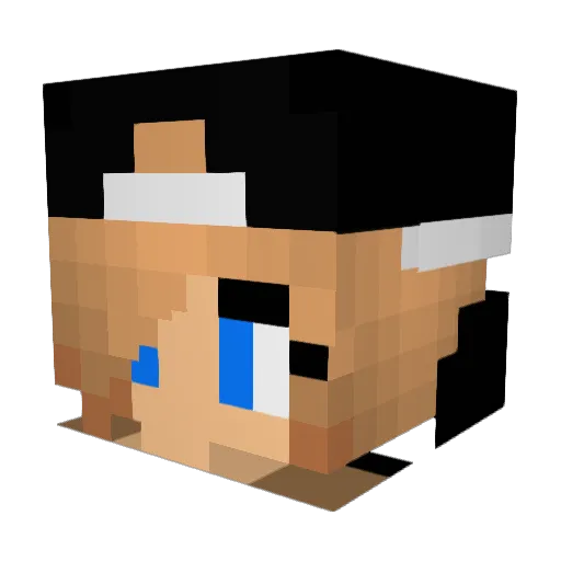 Delfin3006 Minecraft avatar head, 3D render