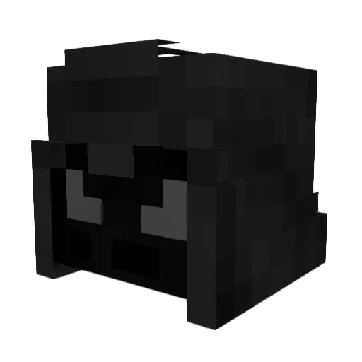 Delfin99 Minecraft avatar head, 3D render
