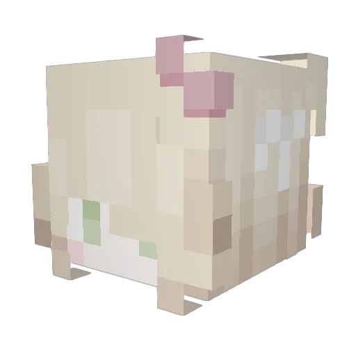 Delfinchn Minecraft avatar head, 3D render