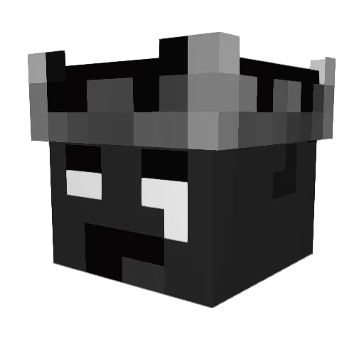 Delfinn_ Minecraft avatar head, 3D render