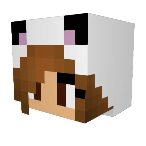 DeliBosnaK Minecraft avatar head, 3D render