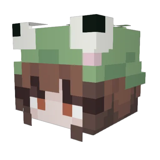 DeliFresh Minecraft avatar head, 3D render