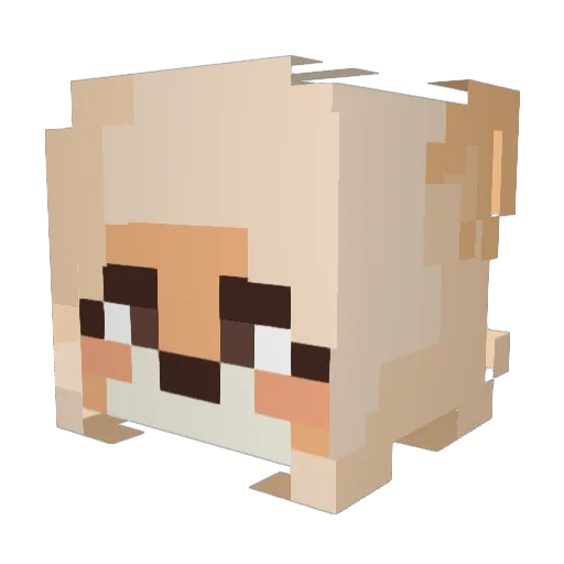 DeliaProud Minecraft avatar head, 3D render
