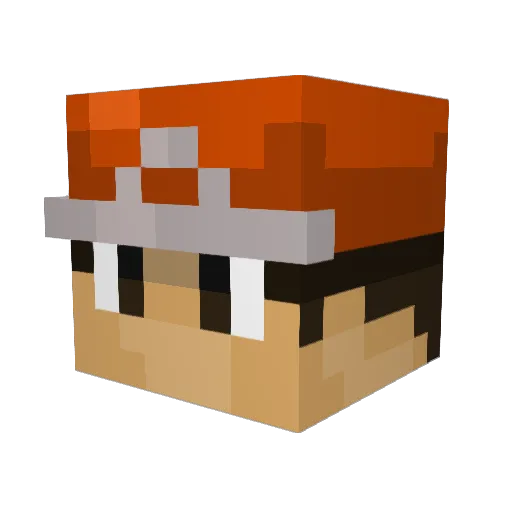 Delic1ous Minecraft avatar head, 3D render