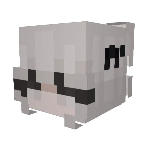 Deliciae Minecraft avatar head, 3D render