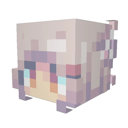 DeliciousCancer Minecraft avatar head, 3D render