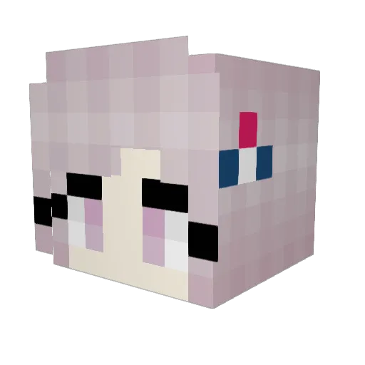 DeliciousFishes Minecraft avatar head, 3D render
