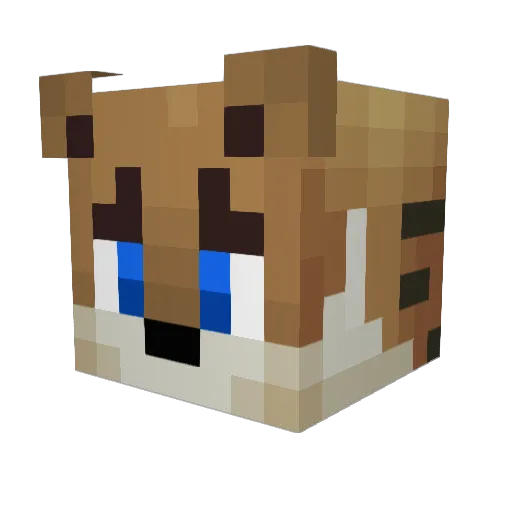 Delicious_Kids Minecraft avatar head, 3D render